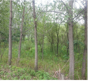 20̖(h��o) ��ɽ��ǧɽ�^(q��)�|��ɽ�(zh��n)ԭ������2̎����ʹ�Ù�(qu��n)